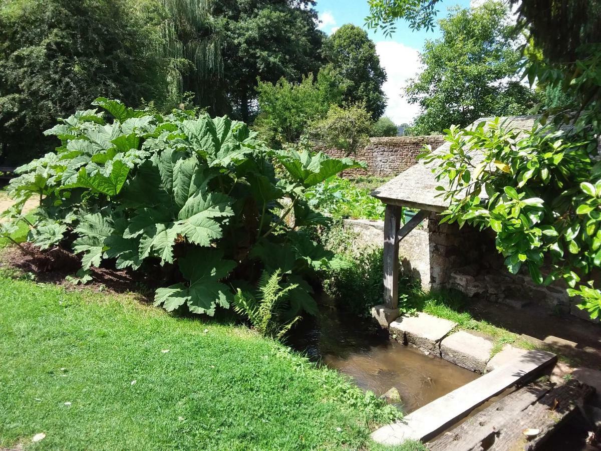 L'Orchidee Villa Lassay-les-Chateaux Eksteriør billede